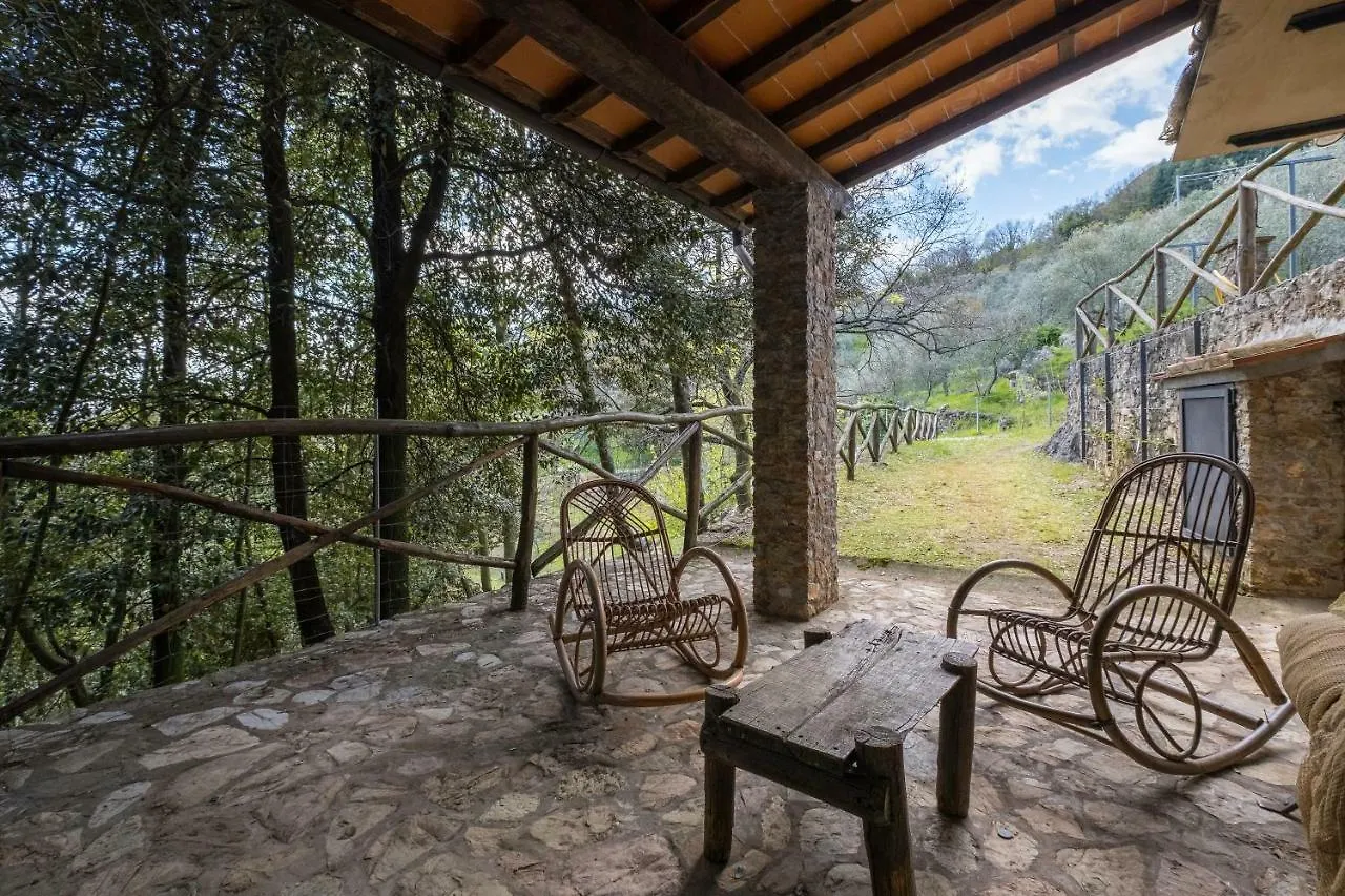 Villa Fattoria Ceragioli Camaiore Casa vacanze