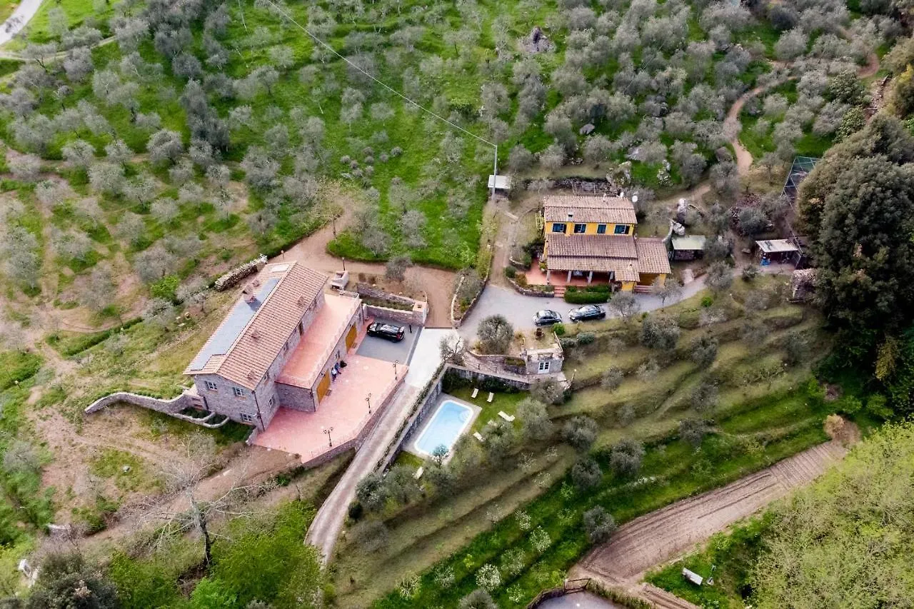 Holiday home Fattoria Ceragioli Villa Camaiore